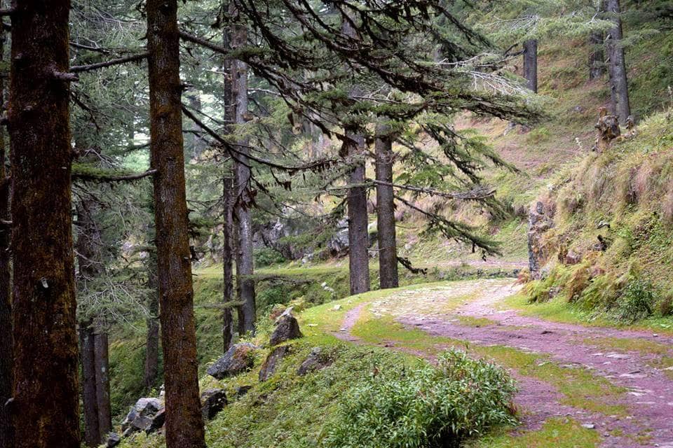 RAJPUR TO MUSSOORIE TREK IN UTTARAKHAND