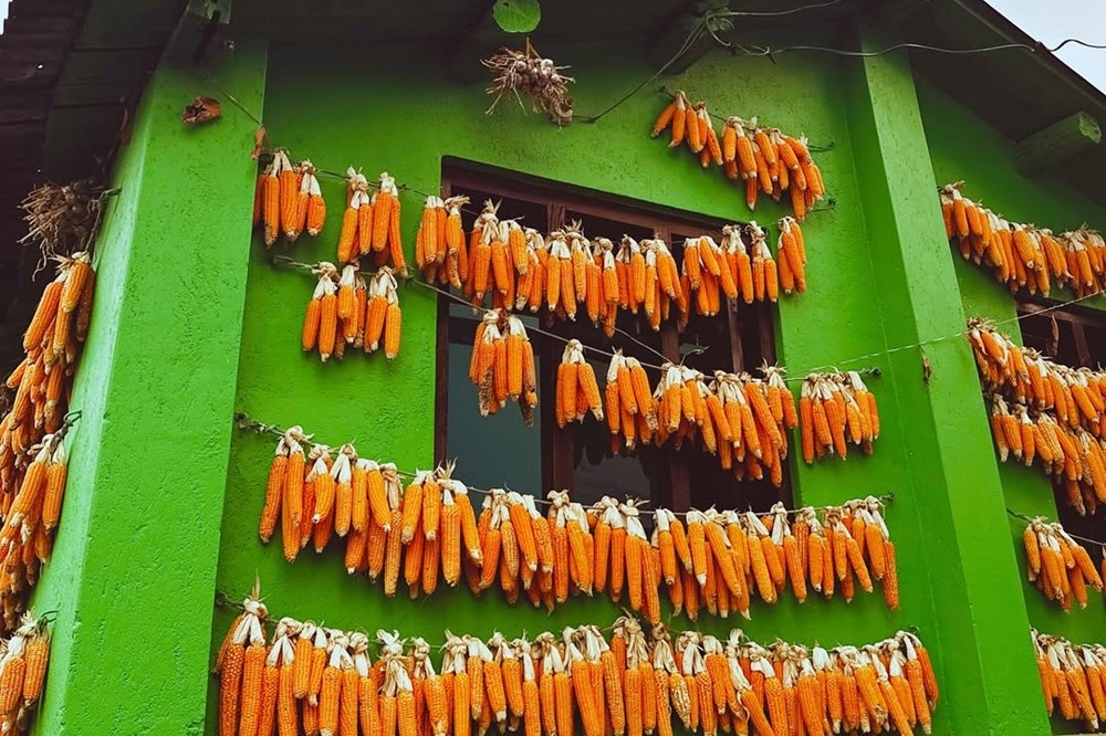 Corn Village in Uttarakhand India