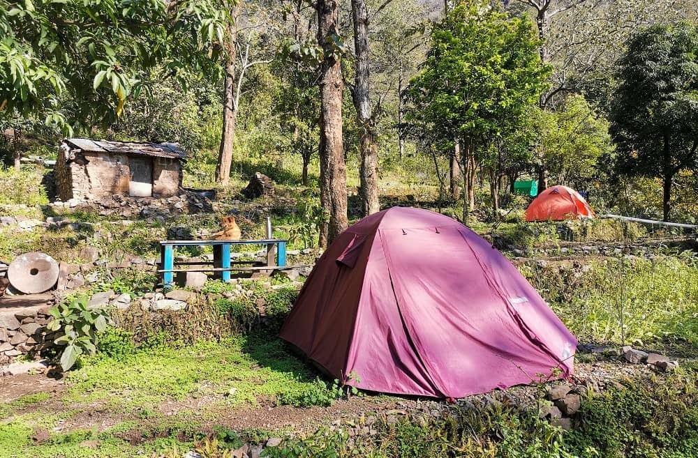 Camping in Rishikesh Shivpuri