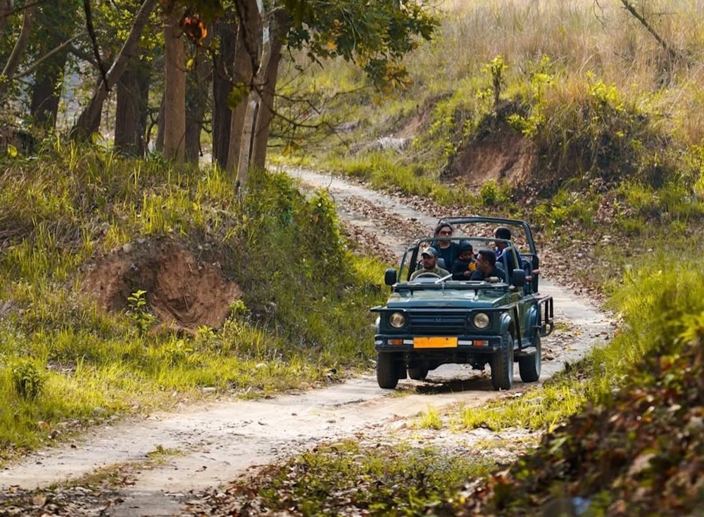 Jeep Safari at Rajaji National Park