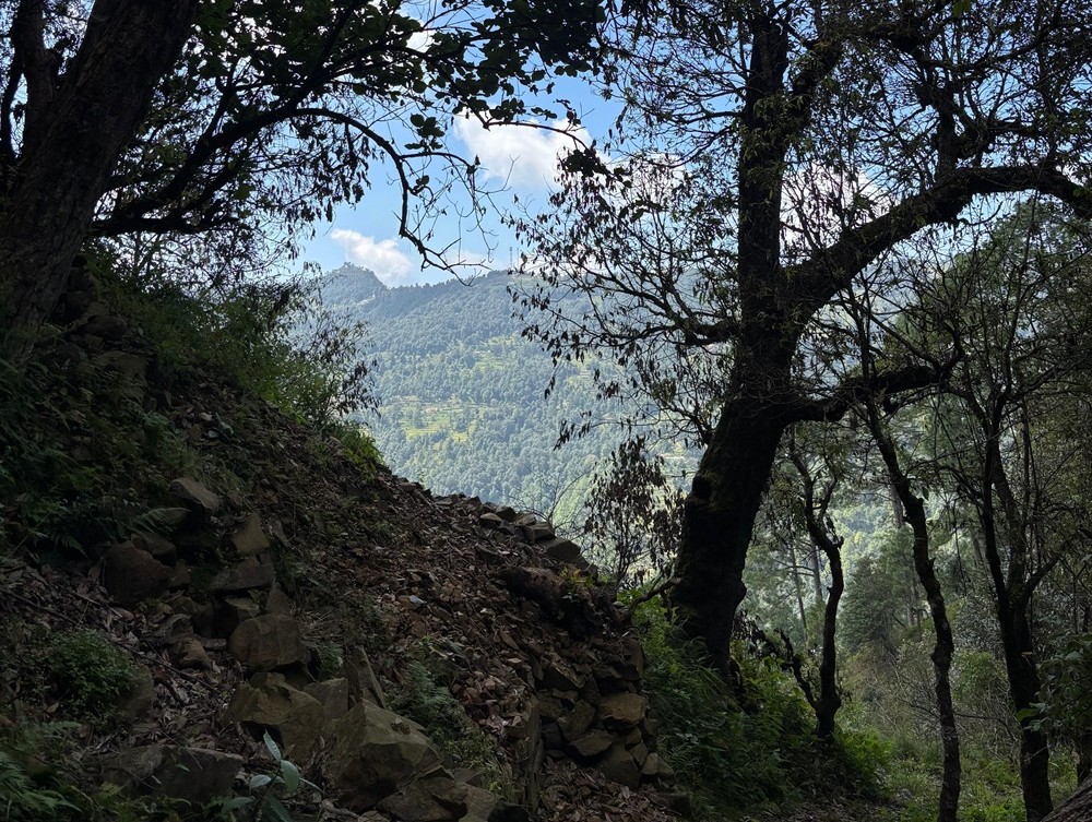 On the Way to Cave of Mahavatar Babaji