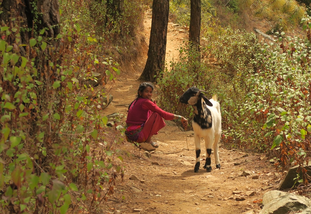 Trekking Route to Cave of Mahavatar Babaji