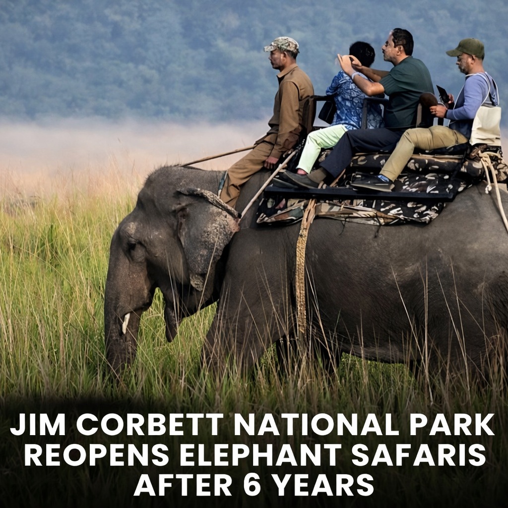 Elephant Safari in Jim Corbett