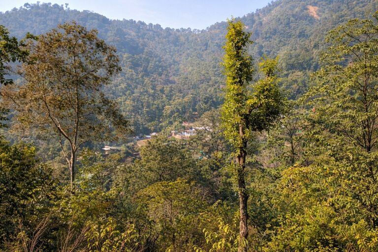 Tapovan Rishikesh Uttarakhand India