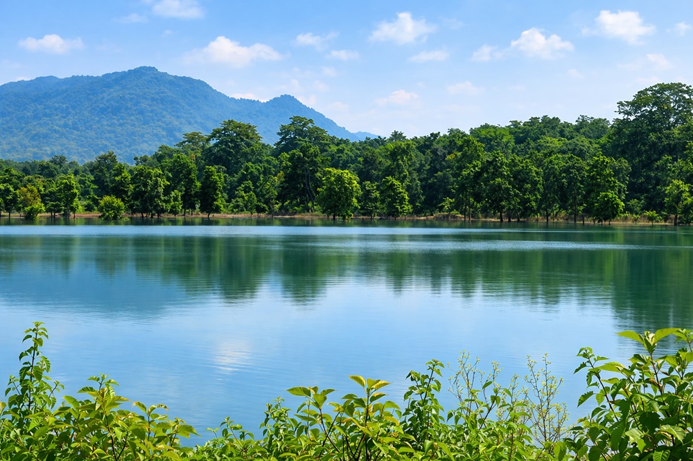Jhilmil Jheel Haridwar