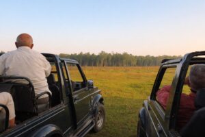 Jhilmil Jheel Jungle Safari