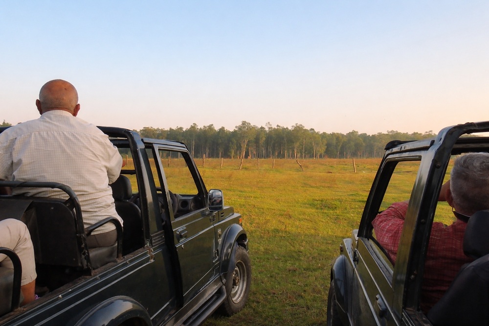 Jhilmil Jheel Jungle Safari
