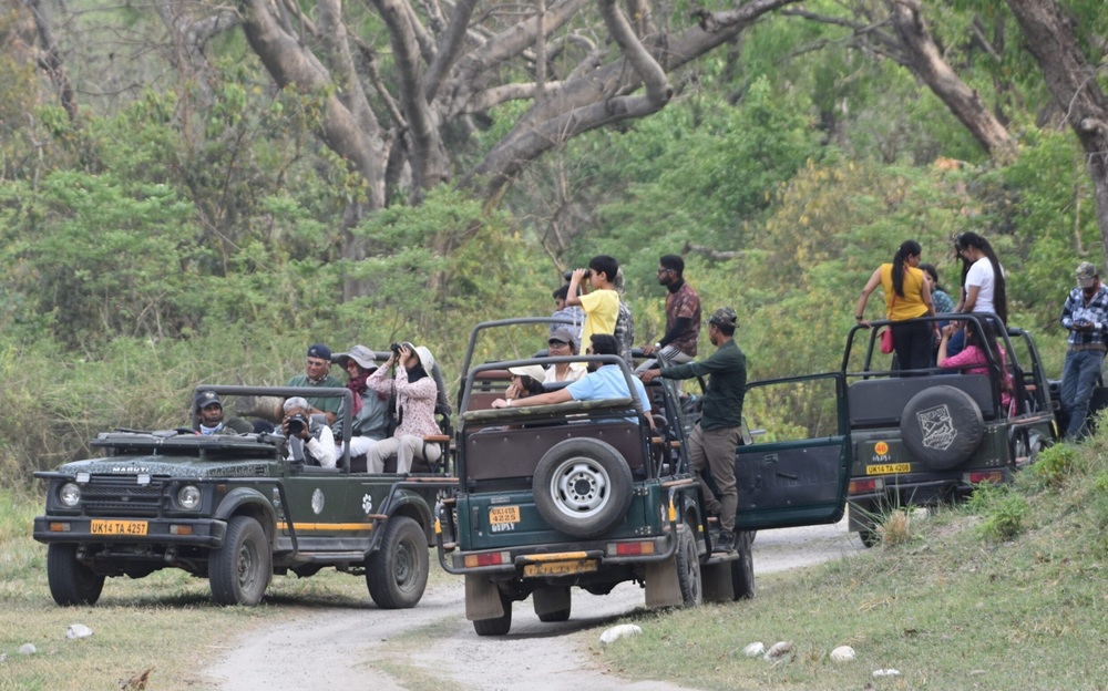 Jungle Safari Rishikesh Rajaji National Park