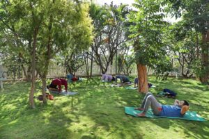 detox retreats in india