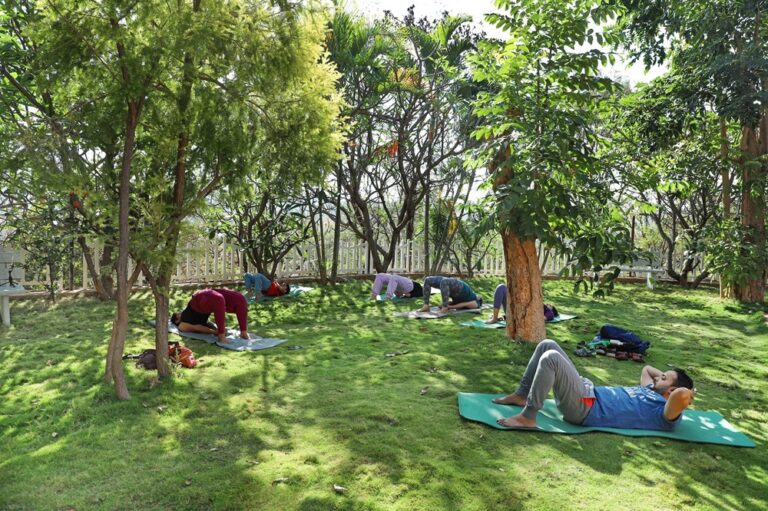 detox retreats in india